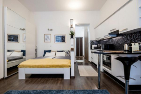 Stylish Downtown Studio